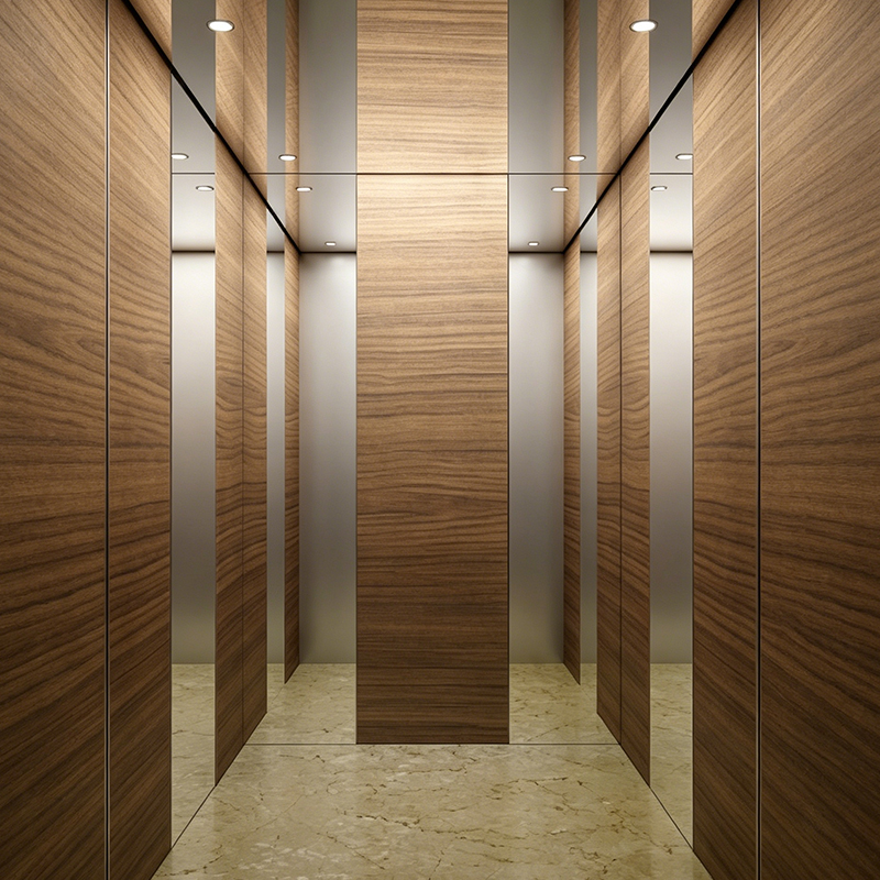 Modern fa furnér kabin belső villa személylift